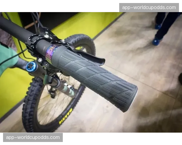 欧洲自行车旅游报告:阿尔卑斯山区山地车假期预订量激增40% 欧洲自行车旅游报告:阿尔卑斯山区山地车假期预订量激增40%